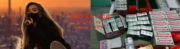 амф Алзамай